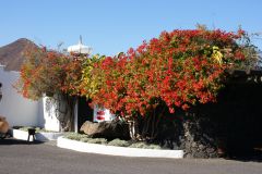 Fondation César Manrique 