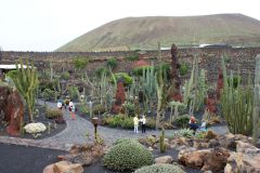Kaktusgarten 