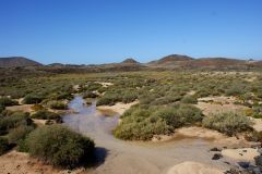 Isla de Lobos