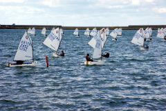 Opti Regatta