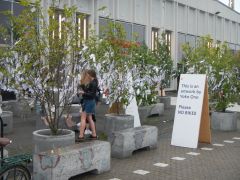 Installation von Yoko Ono