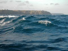 Lizard Point