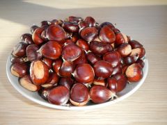 Kastanien