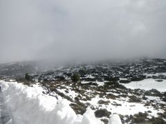 Schnee