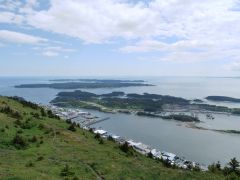 Kodiak