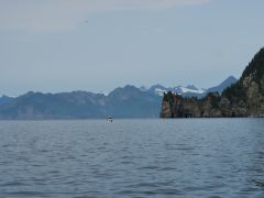 Renard Island
