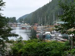 Elfin Cove