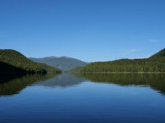 Coghlan Achorage Abenstimmung