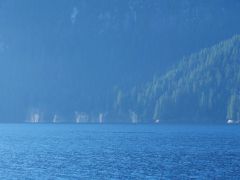 McKay Reach Blas von Buckelwalen