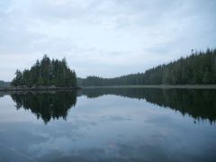 Blunden Harbour Morgen