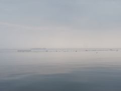 Queen Charlotte Strait Treibholz