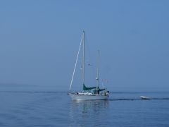 Georg Passage kurze Begegnung