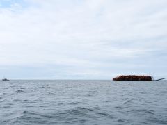 Shearwater Passage Holztransport