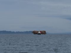 Shearwater Passage Holztransport