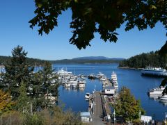Friday Harbor