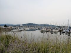 Bellingham
