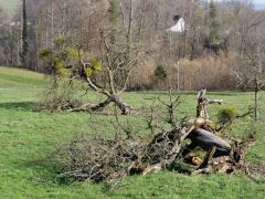 Meilen