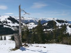 Rigi
