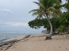 Cabrera Orchid Bay