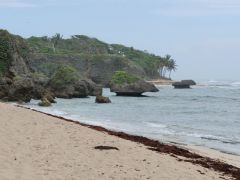 Cabrera Orchid Bay