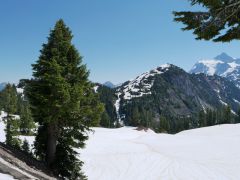 Mt Baker SkiArea