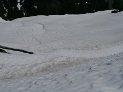 Mt Baker SkiArea
