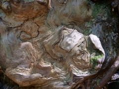 Naturkunst