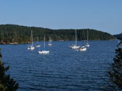 Orca Island West Sound