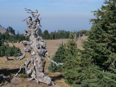 Crater Lake
