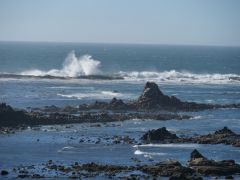 Nähe bei Coos Bay
