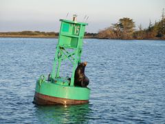 Fahrwassertonne