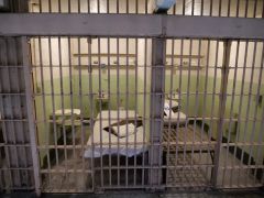 Alcatraz Gefängnis