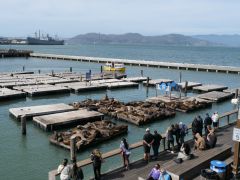Pier 39 San Francisco