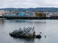 Pier Monterey