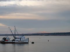 3Monterey Bay