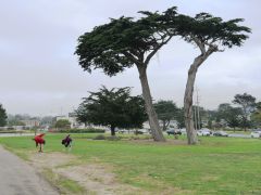 Monterey