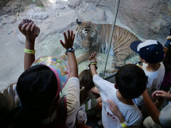 San Diego Zoo