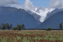 Fox Glacier