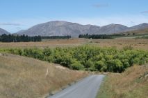 Tophouse Road