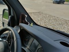 Tux und Ente mit dabei