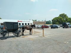 Amische Kutsche Indiana