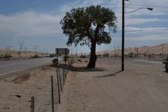 Strasse durch Sanddünen 200km vor San Diego