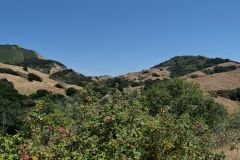 Santa Rosa Creek Road
