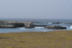 Point St George