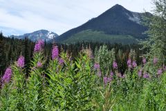 Nördlich von Whistler