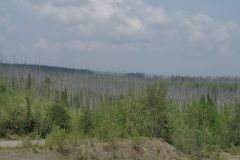 vor 12 Jahren Waldbrand