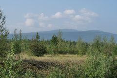 Alaska Hwy