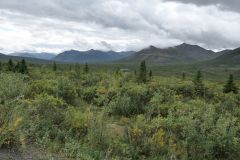 Dempster Hwy