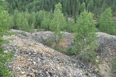 Klondike Goldfield