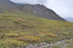 Dalton Hwy